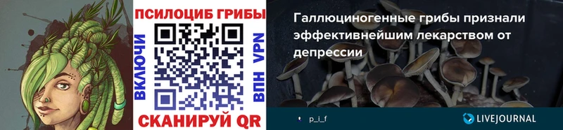 Псилоцибиновые грибы MAGIC MUSHROOMS  Купить закладки  Куйбышев 